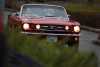DSC_2097.JPG 31782 bytes