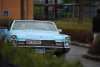 DSC_2119.JPG 38299 bytes