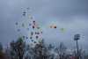 DSC_2133.JPG 36439 bytes