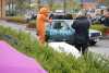 DSC_2161.JPG 57166 bytes
